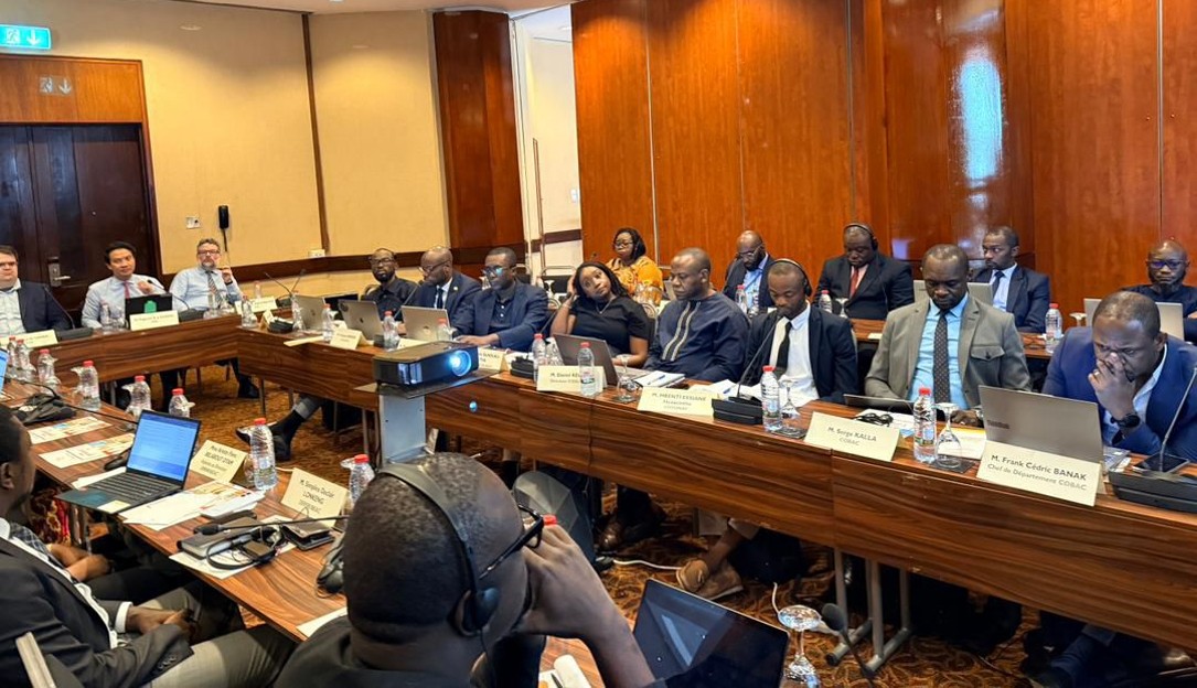 CRYPTOMONNAIES | CRYPTOACTIFS - CAMEROUN :  La BEAC et le FMI posent les bases de la régulation en zone CEMAC des monnaies numériques et crypto-actifs