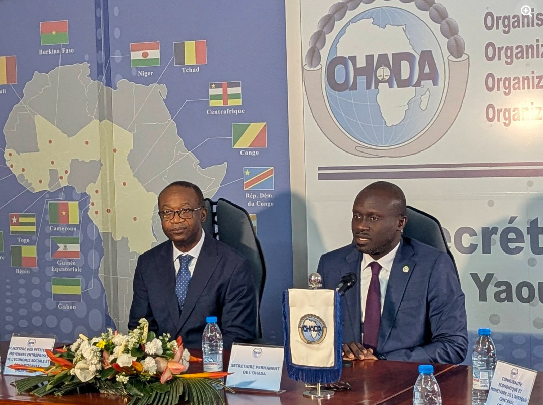 OHADA | CAMEROUN : Le Secrétariat permanent et le ministère en charge des PME à la recherche de l’effectivité du statut de l’entreprenant 