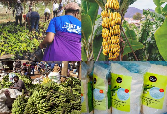 FINTECH & FINANCE AGRICOLE : Les acteurs financiers et agricoles sélectionnés pour un mécanisme de bons électroniques d’achat (E-voucher) au Cameroun