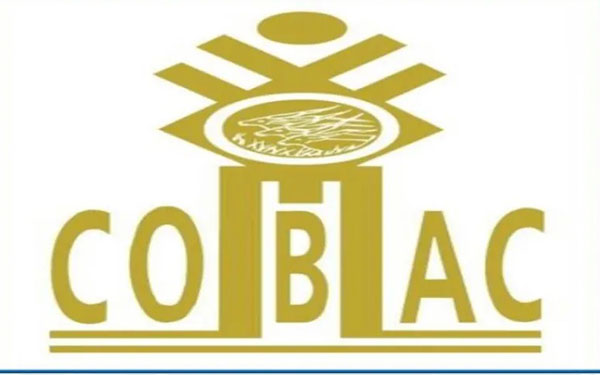 CEMAC|COBAC : Ce qui change pour la division des risques bancaires